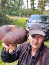 Cep champenois