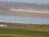 toujours ala recherche d'observateurs en champagne marne hte mar
