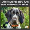 Humour
