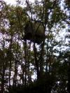 POSTE DOUBLE