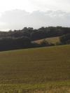 le site
