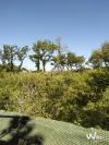 Site