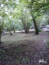 Site