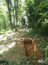Site