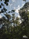 Site