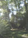 Site