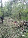 Avancée des travaux