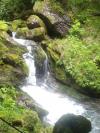 Paysage