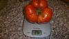 une tomate