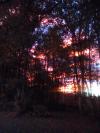 soleil de feu
