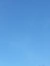 Les petites bleue