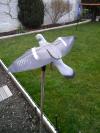 mon nouveau jouet lol