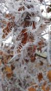 Givre