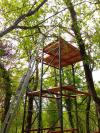 Construction palombiere