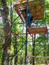 Construction palombiere