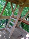 Construction palombiere