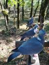 La patrouille !