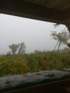 Brouillard
