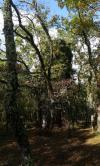 Palombière Lotoise