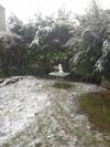 Neige