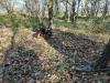 moment de chasse