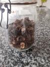 morilles séchées