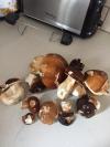 Champignons