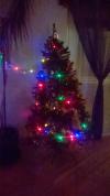 sapin de Noël