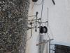 Pigeon sur fil