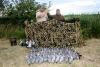 chasse import