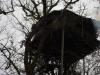 cabane