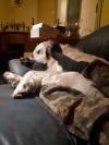 On dort