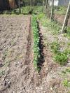 Jardinage