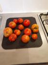 Tomate