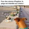 Jolie plage
