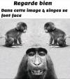 Tu t'ai reconnu