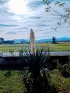 Automne