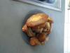 Champignons