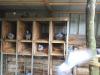 Pigeonnier