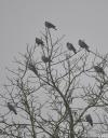 une pose tout en gris