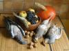 nature morte aux fruits d'automne