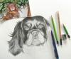 portrait en cours ...