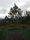 Arbres de pose