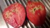 Tomates.