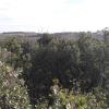 Site