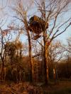 Cabane uxoa64