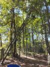 Nouvelle cabane