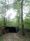 Bois de chênes avec cabane