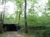 Bois de chêne