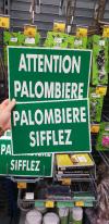 Plus que a mois